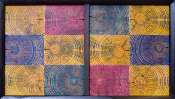 Double Vision, 2012, 17" x 30" x 3"